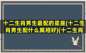 十二生肖男生最配的星座(十二生肖男生配什么属相好)(十二生肖最佳婚配表 男)